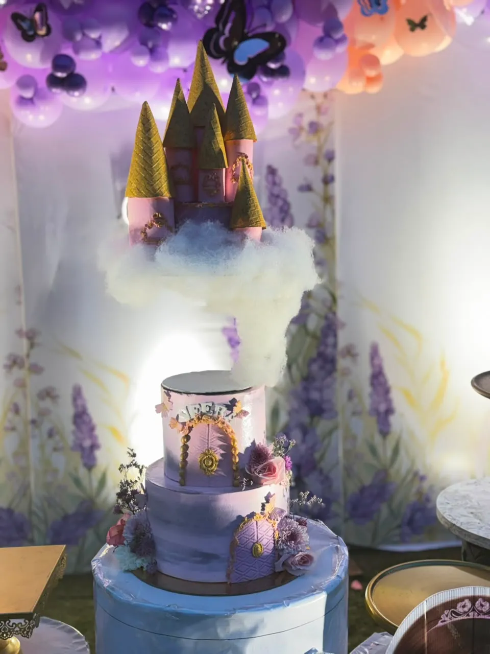 Custom made cake for children's party by Simply Sweet Udaipur